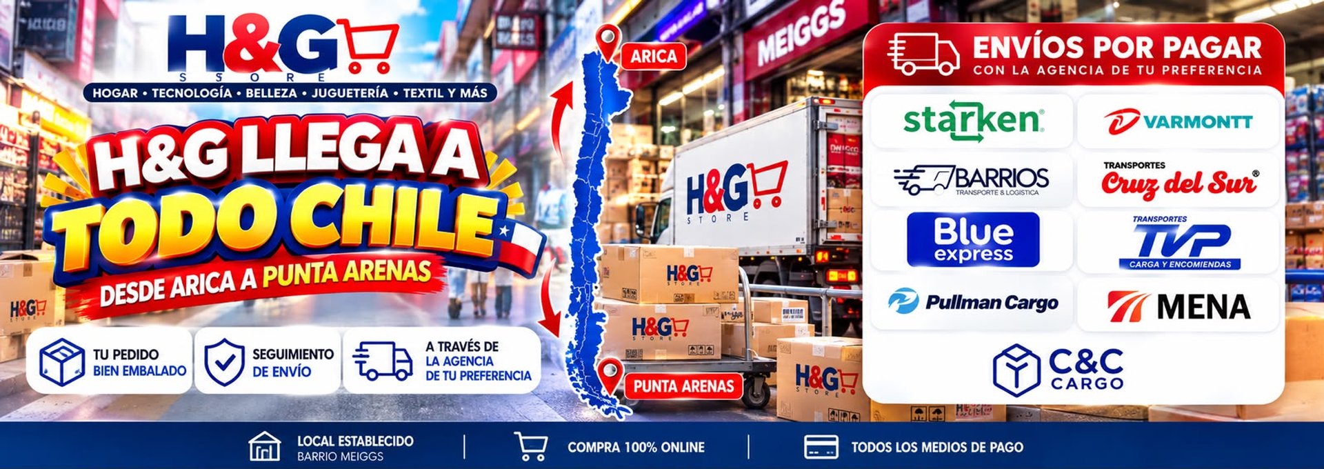 HG Store Chile