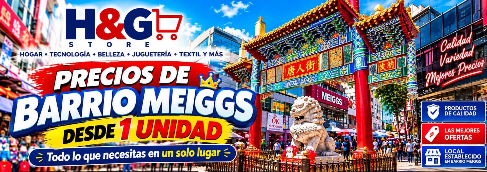 HG Store Chile